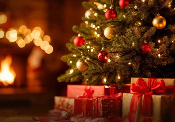 С Новым годом! Вспомним лучшие материалы 2025