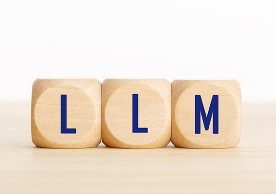 Обзор рынка LLM 2025: эра узкой специализации