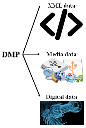 dmp-zid.png dmp-zid.png